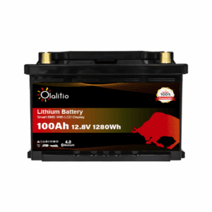 Batteria al litio LiFeP04 specifica per VW T3, 100Ah con Bluetooth